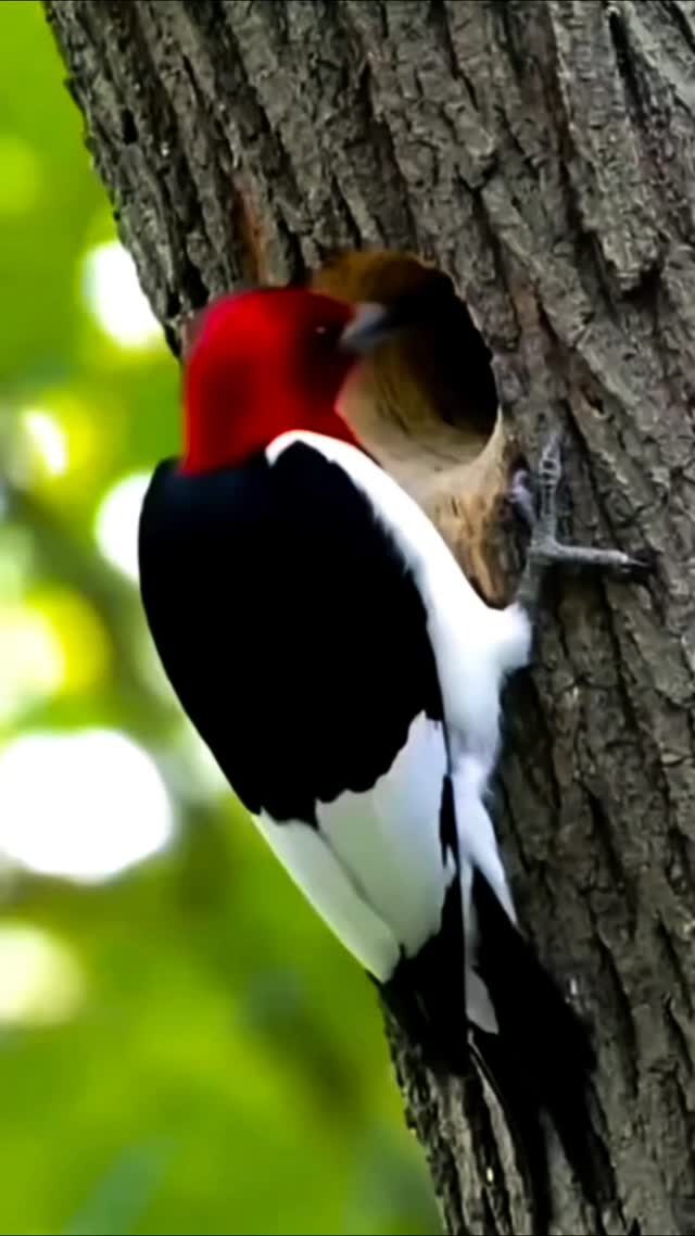 Instagram post from magnice2025. This post is in position 2.